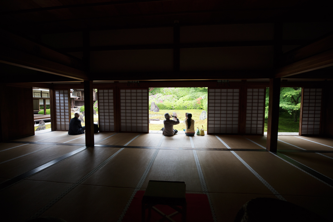 新緑の光明院